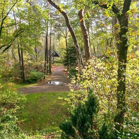 Vakantiehuis De Eekhoorn In Op De Veluwe * נונספייט